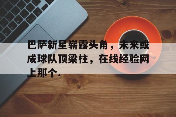 巴萨新星崭露头角，未来或成球队顶梁柱，在线经验网上那个.的简单介绍